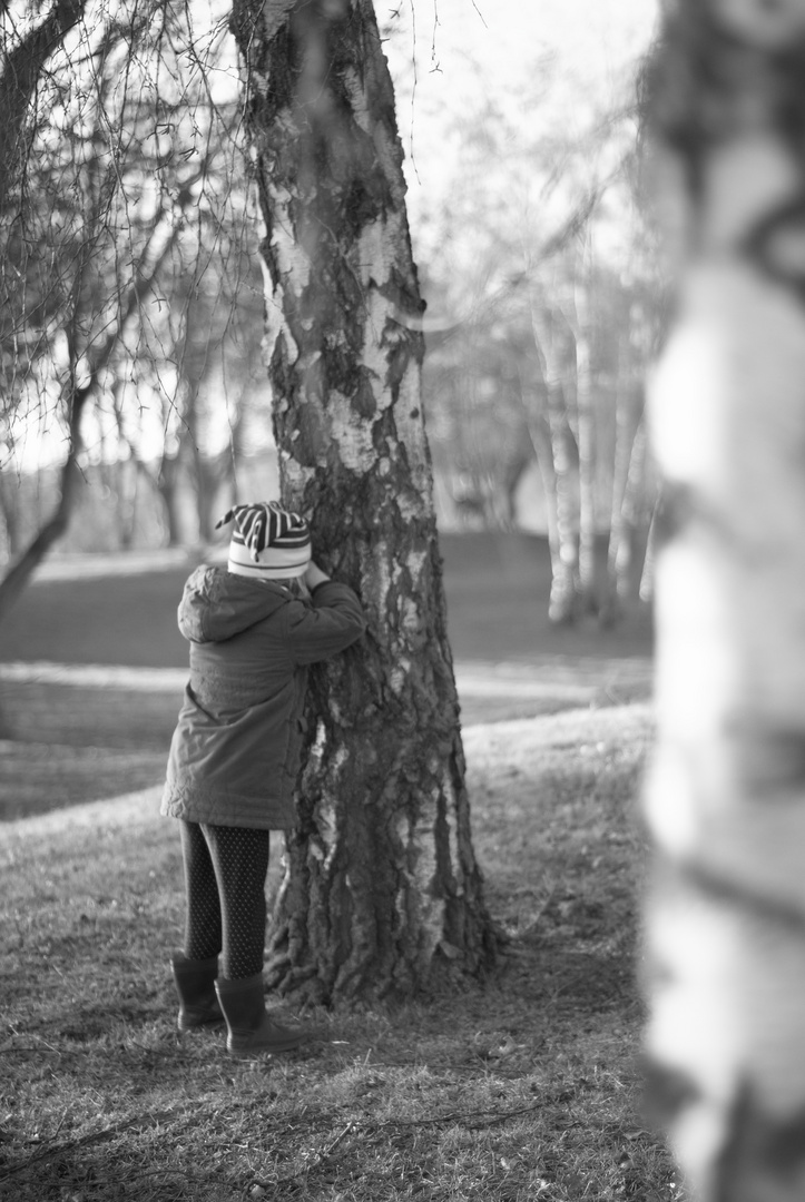 Promenons-nous dans les bois