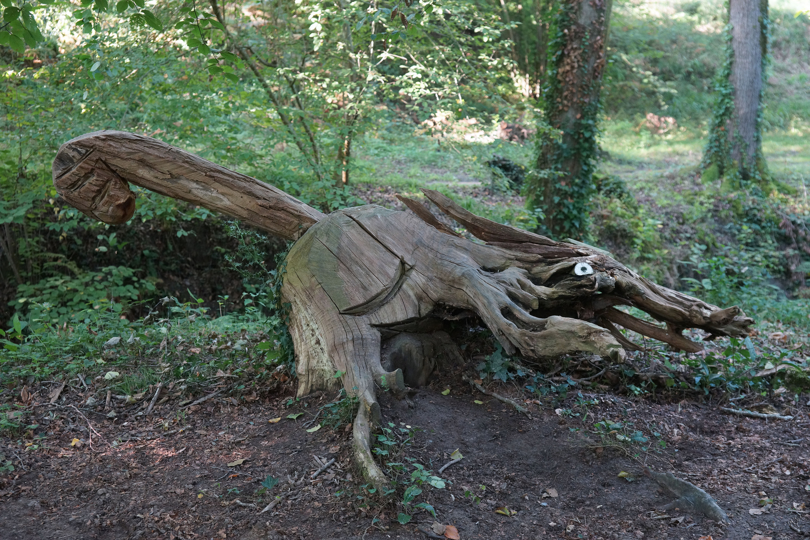 Promenons nous dans les bois ......