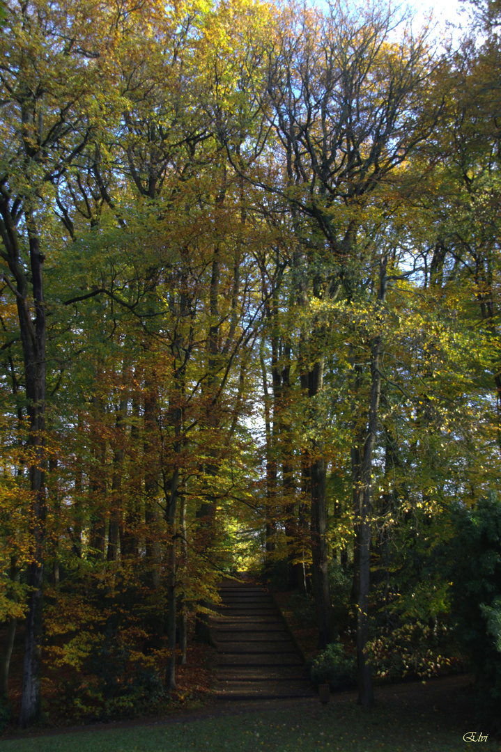 Promenons-nous dans les bois ...