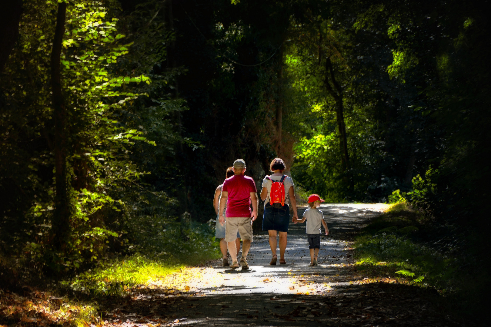 Promenons nous dans les bois