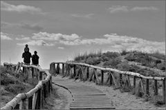 Promenons nous dans les dunes .....