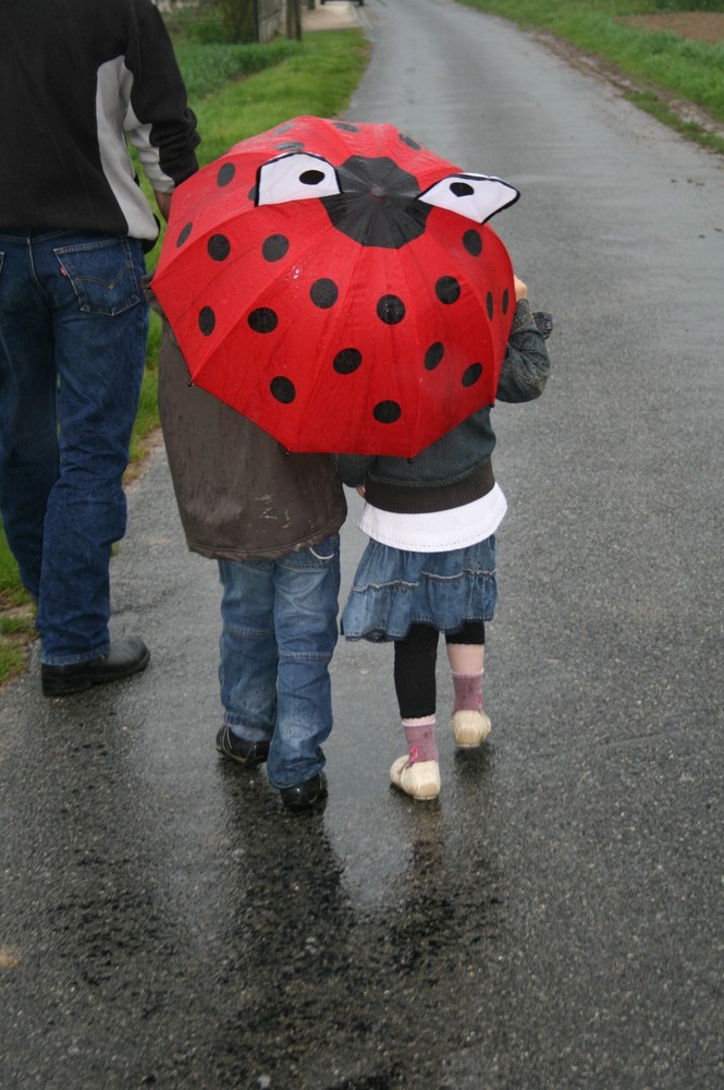 promenons nous sous la pluie