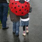 promenons nous sous la pluie