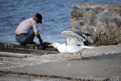 ...pronti al decollo...