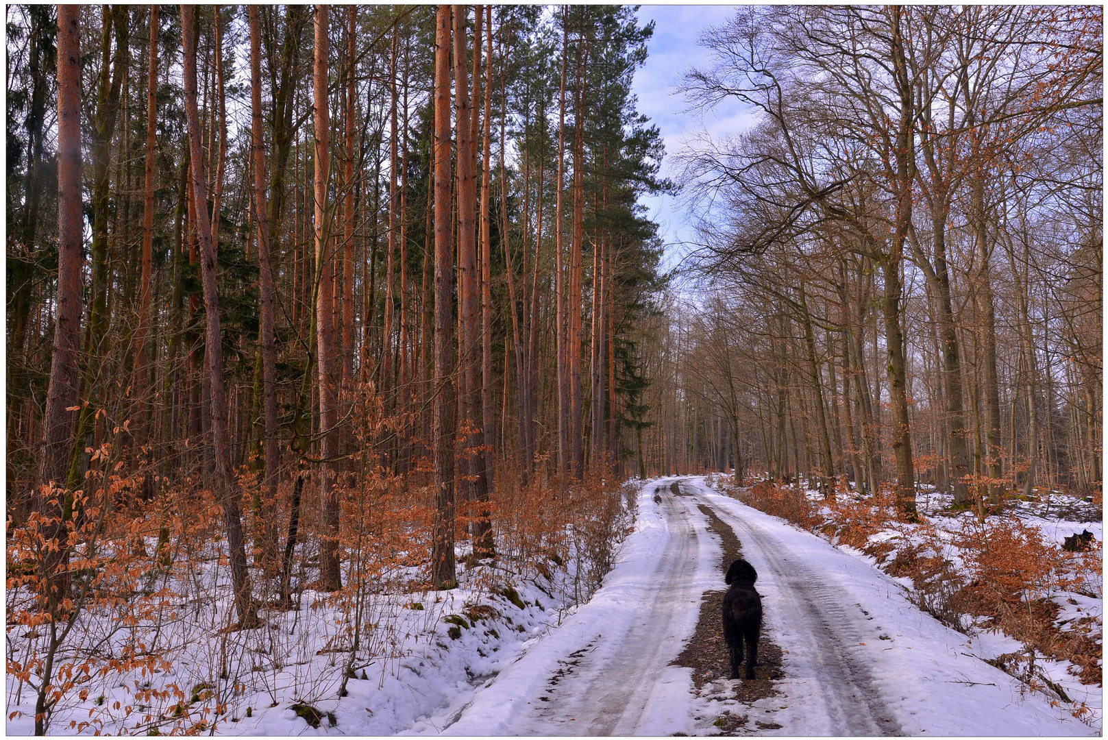 Pronto llegará la primavera (bald ist Frühling)