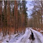 Pronto llegará la primavera (bald ist Frühling)