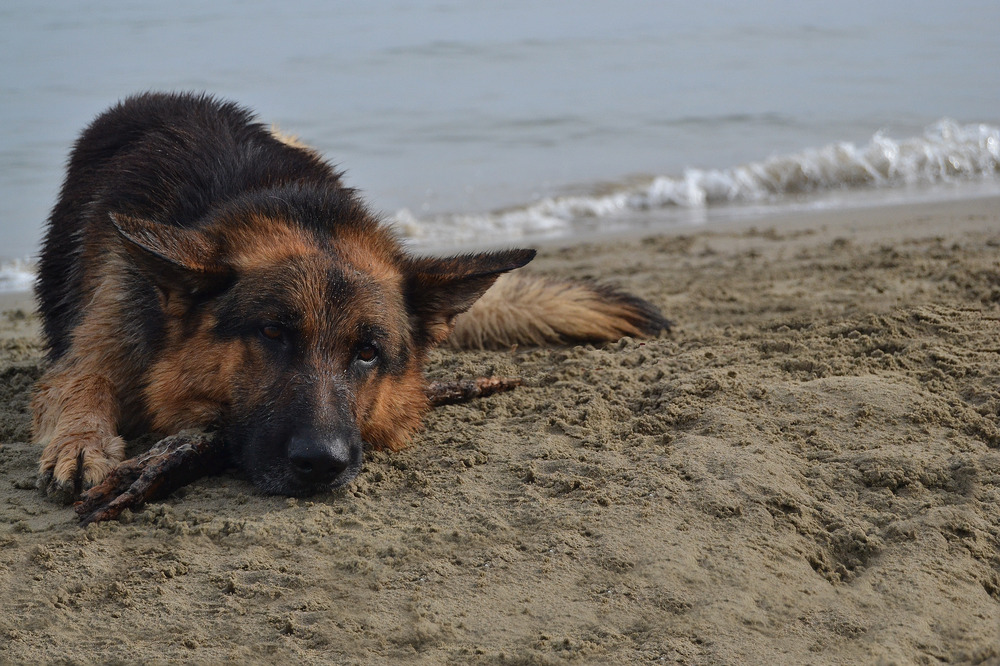 Pronto per il pisolino!!