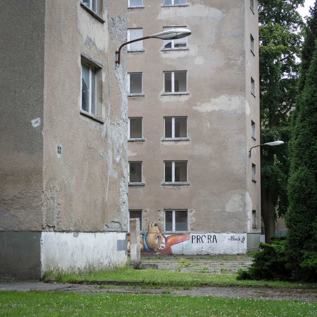 Prora 01