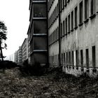 Prora