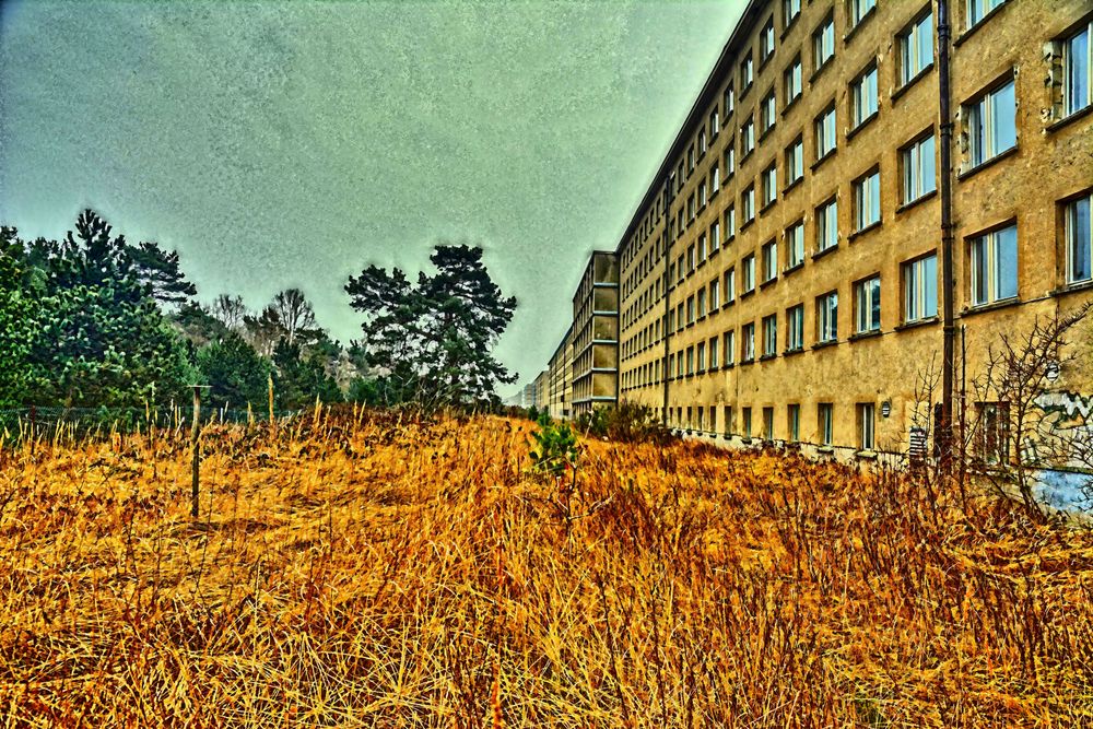 Prora