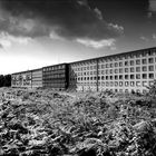 Prora