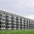 Prora