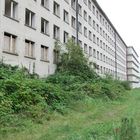 Prora