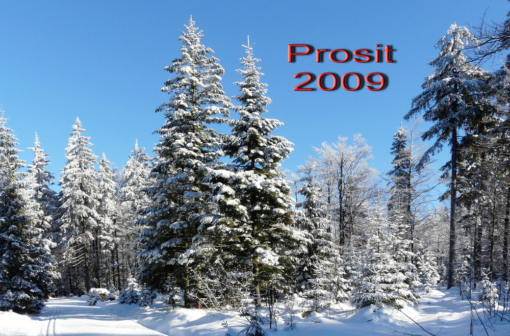 Prosit 2009