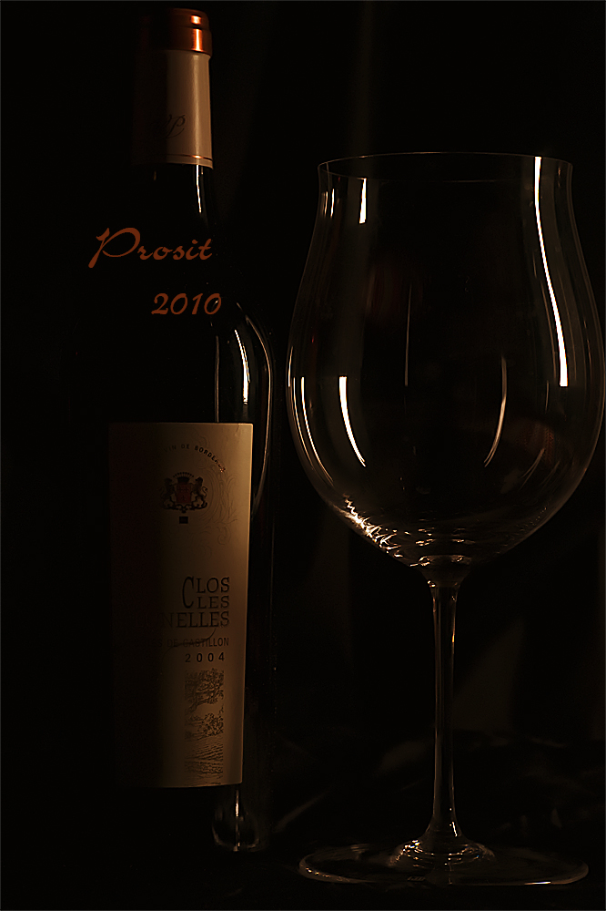 PROSIT 2010