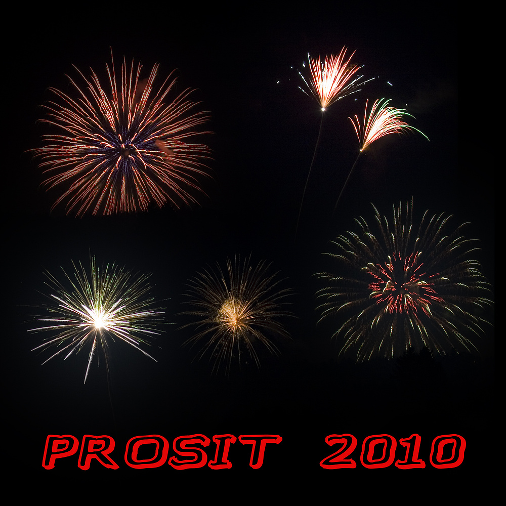 Prosit 2010