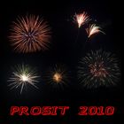 Prosit 2010