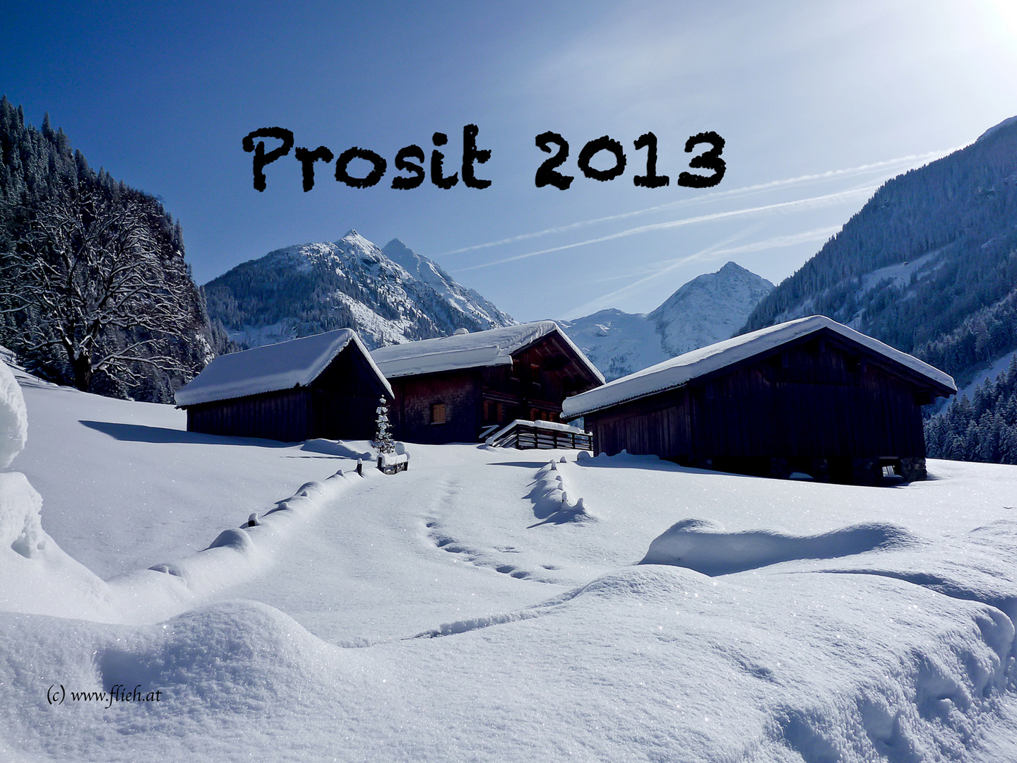 Prosit 2013