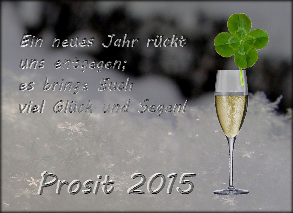 Prosit 2015