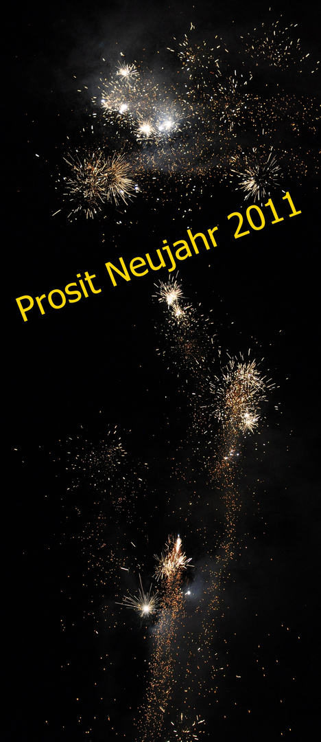 Prosit Neujahr 2011