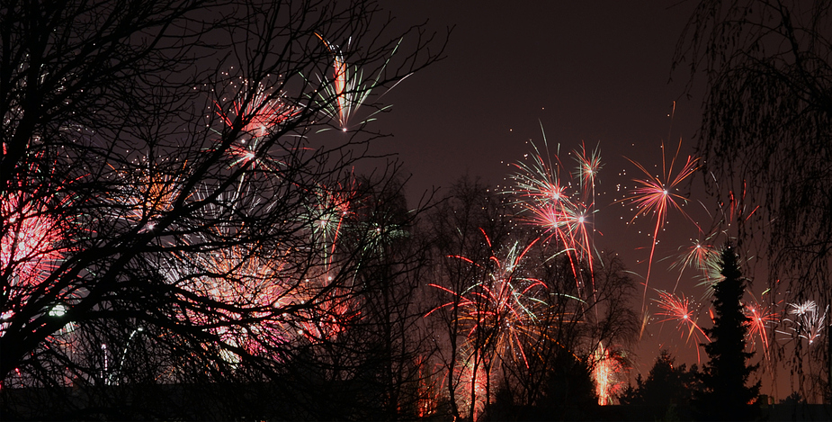 Prosit Neujahr 2014