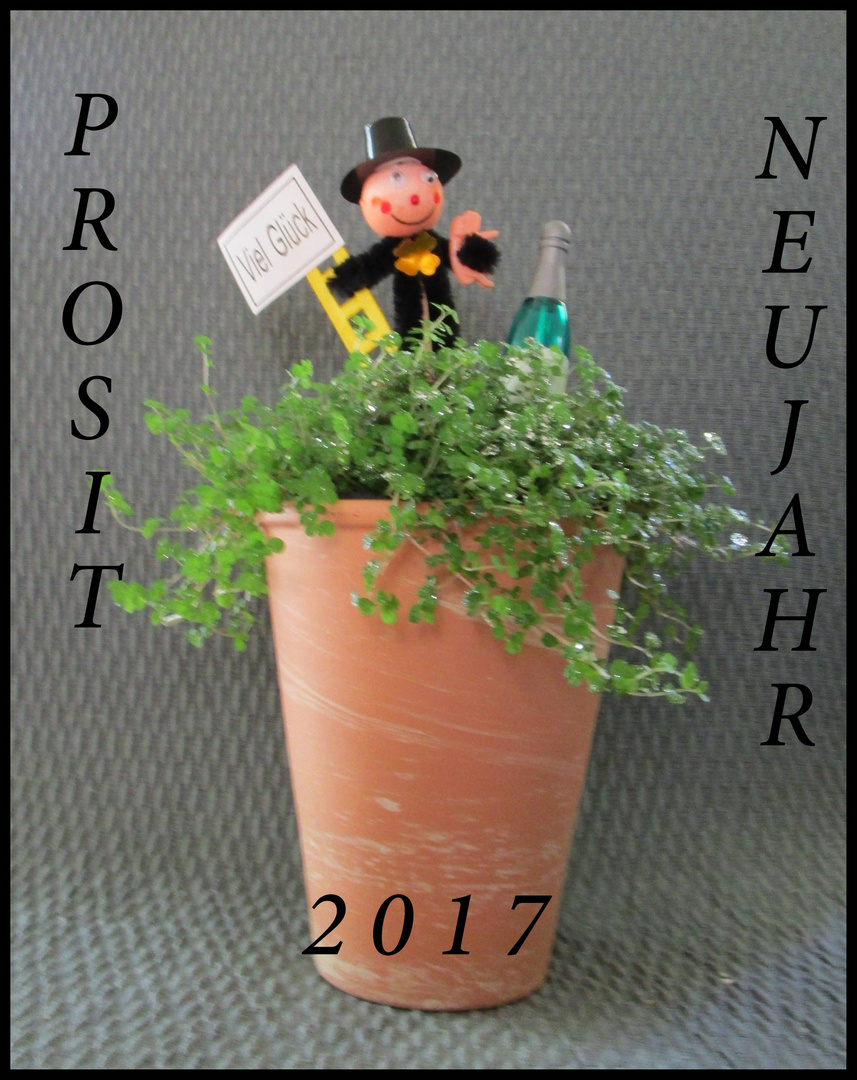 Prosit Neujahr 2017