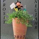 Prosit Neujahr 2017