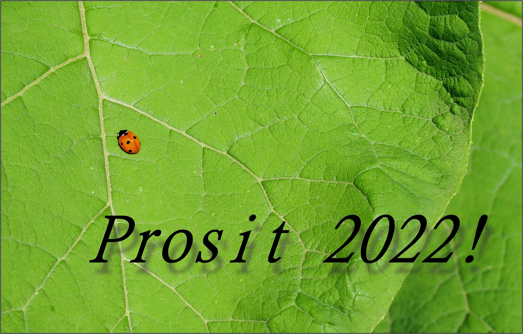 Prosit Neujahr 2022