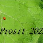 Prosit Neujahr 2022