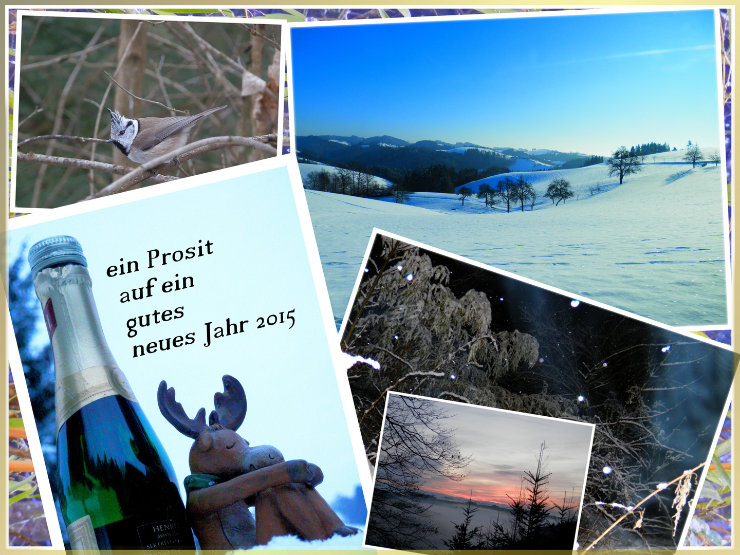 Prosit Neujahr Foto & Bild | karten und kalender, neujahrswünsche