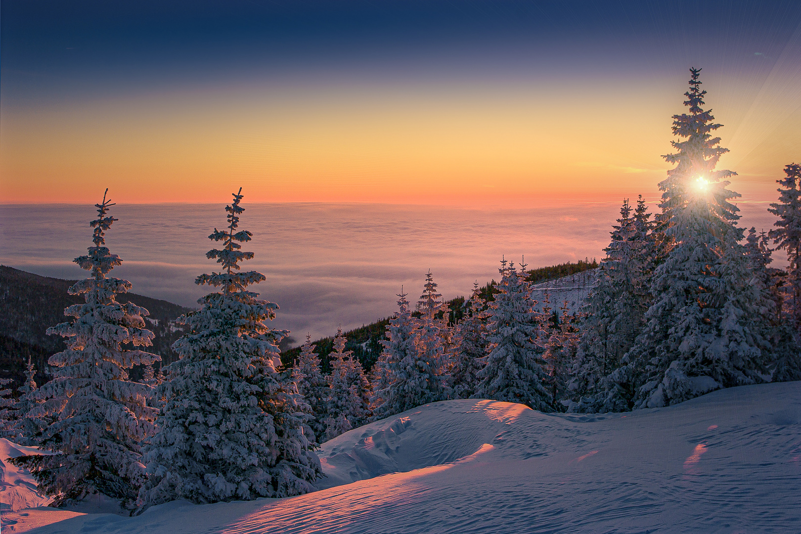 Prosit Neujahr Foto &amp; Bild | jahreszeiten, winter, landschaft Bilder