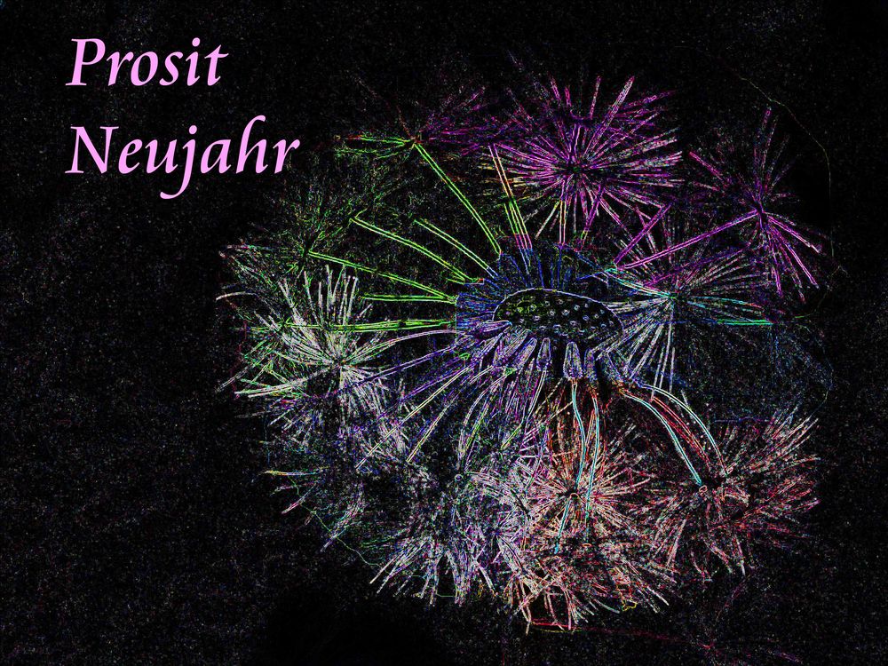 Prosit Neujahr Foto & Bild | neujahr, motive, allgemeine motive Bilder