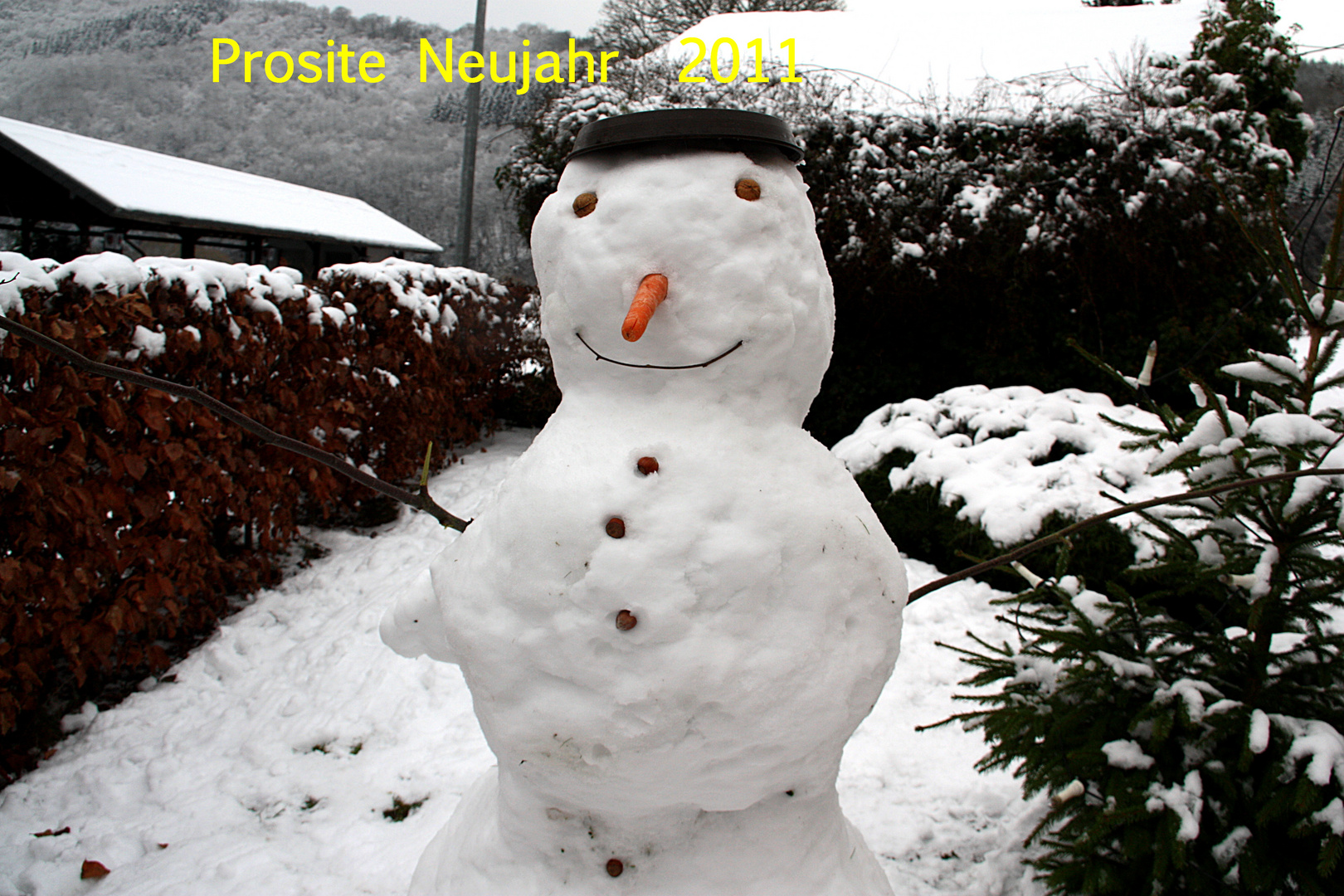 Prosite Neujahr 2011