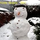 Prosite Neujahr 2011