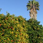 prosperità della natura