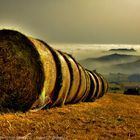 prospettiva agreste, con nebbia - Ciano - (zocca modena italy)_2544_Fl