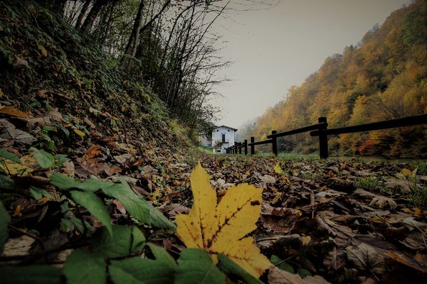 Prospettive autunnali