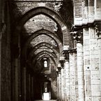 Prospettive di un'abbazia - Navata destra dell'Abbazia di San Galgano