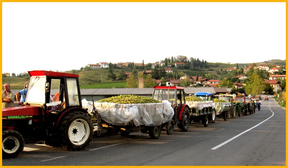 prossimo passo......vino!