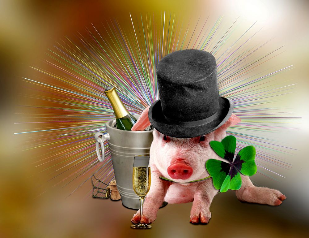 Prost Neujahr Foto & Bild | tiere, fotomontage, composing Bilder auf