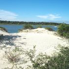 Protected dunes at Fort Matanzas