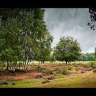 Protected Heathland