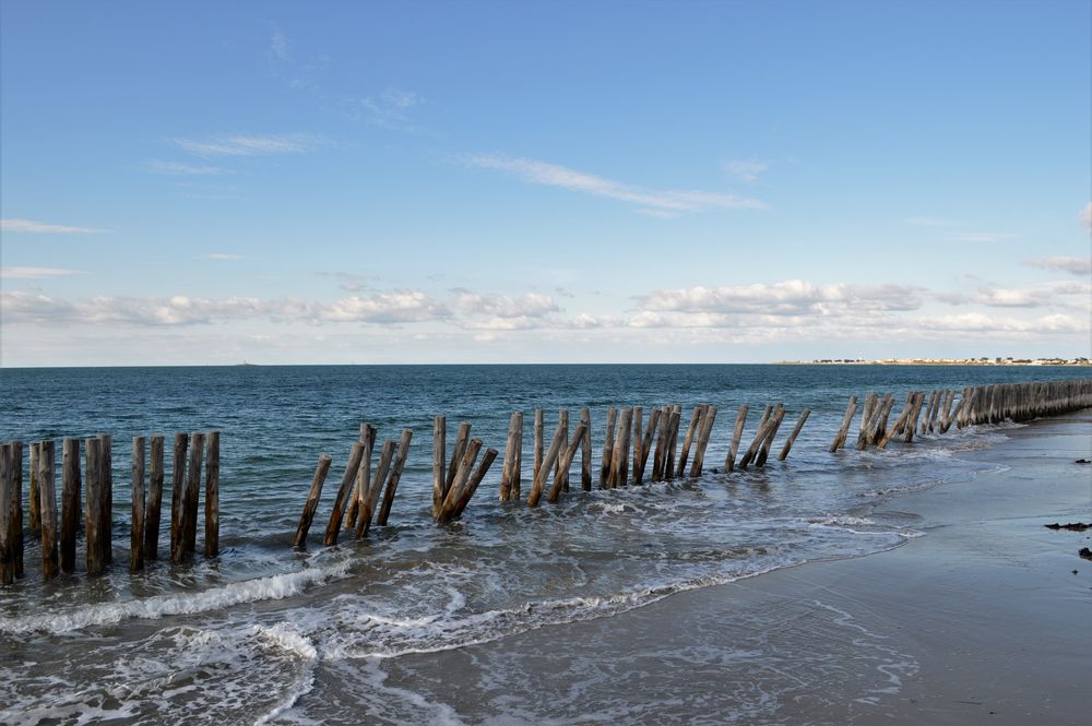 Protection de la plage et des dunes.