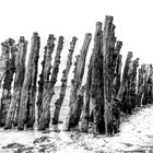 Protection du littoral.....Saint Malo 