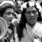 Protesta  indígena  (Ecuador)