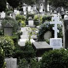 Protestant cemetery