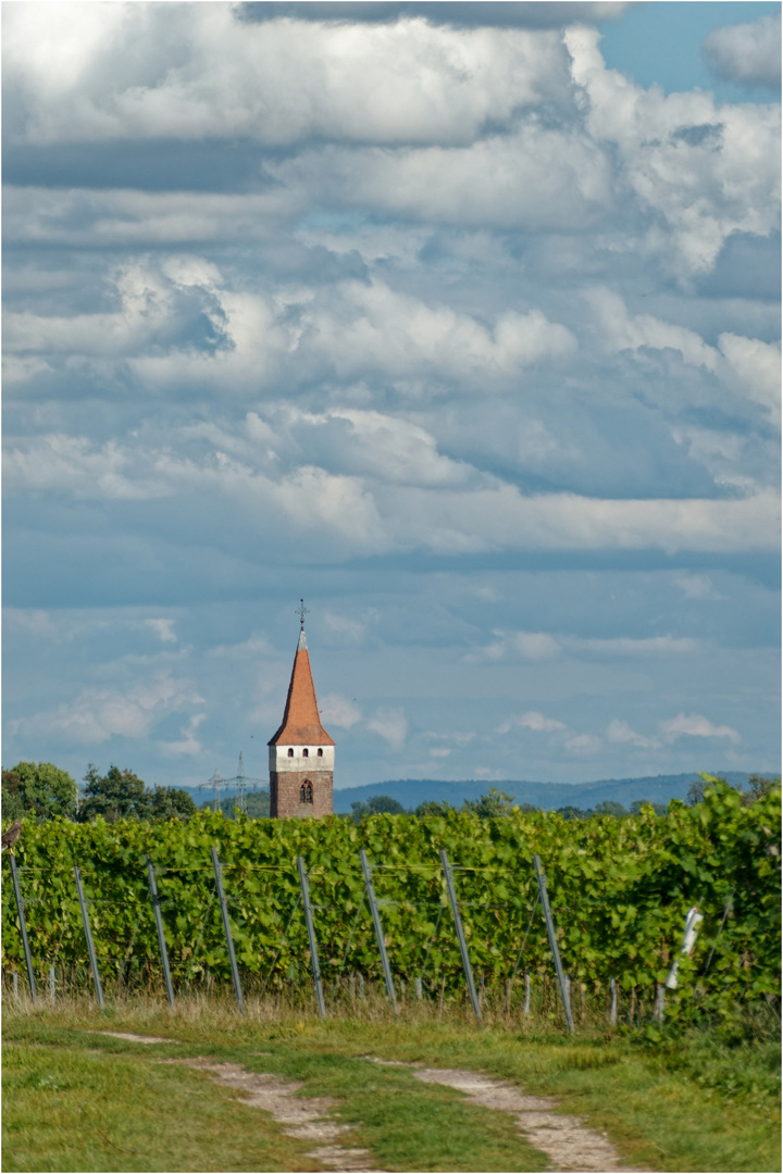 Protestantische Kirche Minfeld 16