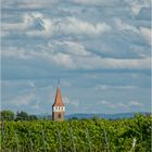 Protestantische Kirche Minfeld 16