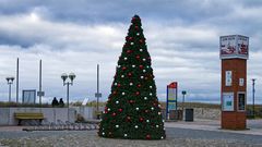 PROTOTYP EINES DEUTSCHEN WEIHNACHTSBAUMS