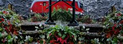 Prototypen und Herbstblomen